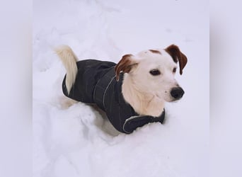 Bimas - ruhig&neugierig