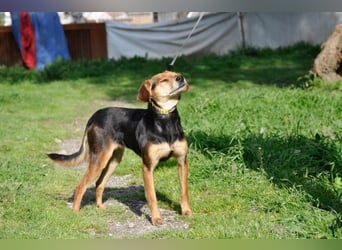Zuckerschnütchen Irma sucht ihre Familie