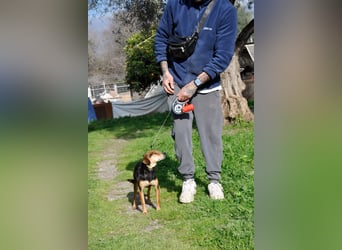 Zuckerschnütchen Irma sucht ihre Familie