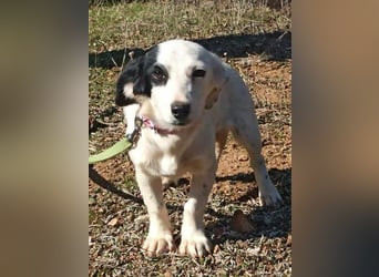 Kleine Knutschkugel Holly