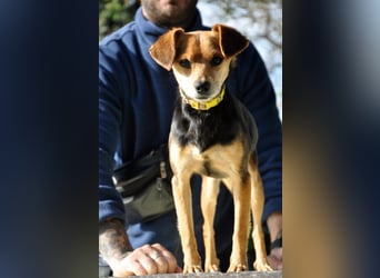 Zuckerschnütchen Irma sucht ihre Familie