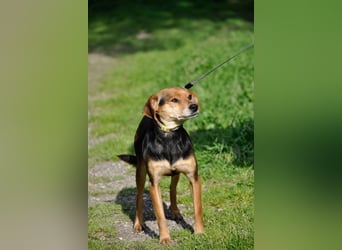 Zuckerschnütchen Irma sucht ihre Familie