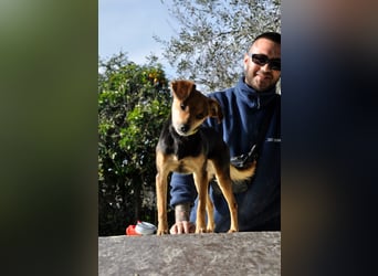 Zuckerschnütchen Irma sucht ihre Familie