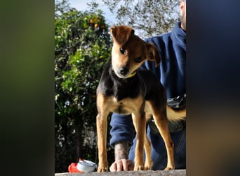 Zuckerschnütchen Irma sucht ihre Familie