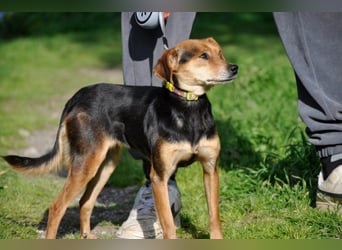 Zuckerschnütchen Irma sucht ihre Familie
