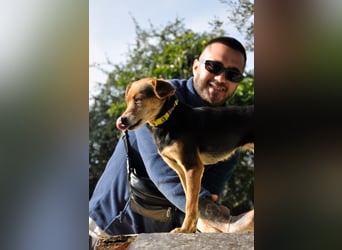 Zuckerschnütchen Irma sucht ihre Familie