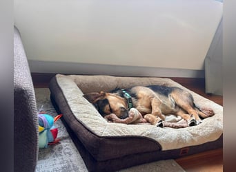 Timo klein, jung, charmant & bereit, dein Herz zu klauen