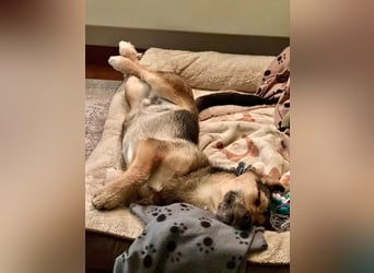 Timo klein, jung, charmant & bereit, dein Herz zu klauen