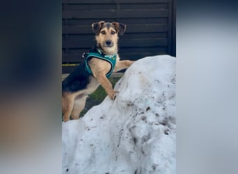 Timo klein, jung, charmant & bereit, dein Herz zu klauen