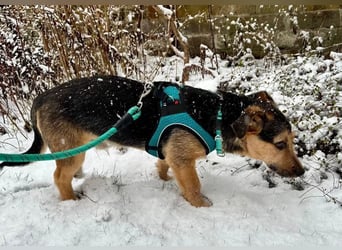 Timo klein, jung, charmant & bereit, dein Herz zu klauen
