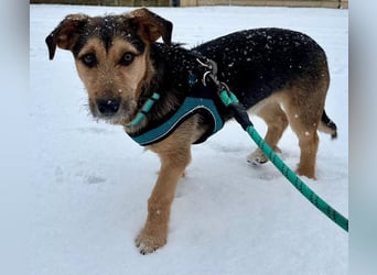 Timo klein, jung, charmant & bereit, dein Herz zu klauen
