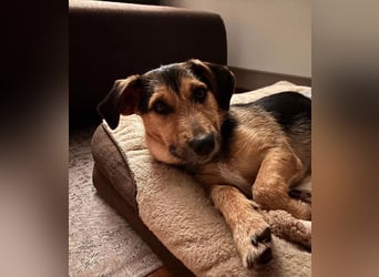 Timo klein, jung, charmant & bereit, dein Herz zu klauen