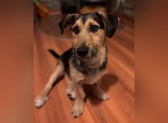 Timo klein, jung, charmant & bereit, dein Herz zu klauen