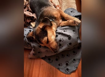 Timo klein, jung, charmant & bereit, dein Herz zu klauen