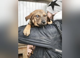 Mitschko - ist stark auf Menschen ausgerichtet