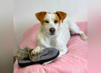 Levi - Little Mister Sunshine