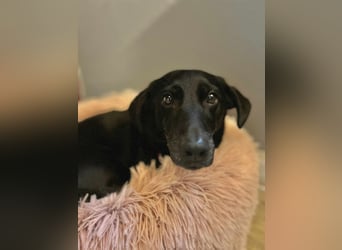 Tyson - klein&freundlich