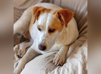 Levi - Little Mister Sunshine