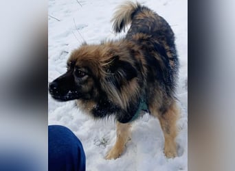 Bucky - ein liebenswerter Bub