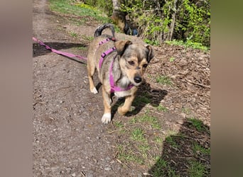 Mary - kleine Mary sucht großes Glück