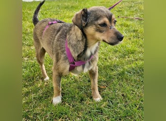 Mary - kleine Mary sucht großes Glück