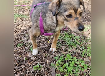 Mary - kleine Mary sucht großes Glück