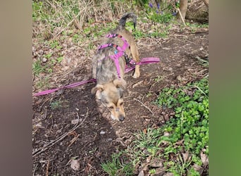 Mary - kleine Mary sucht großes Glück