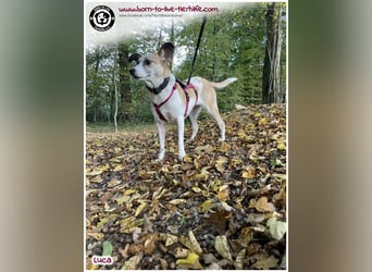 Hübsche Luca sucht liebe Menschen