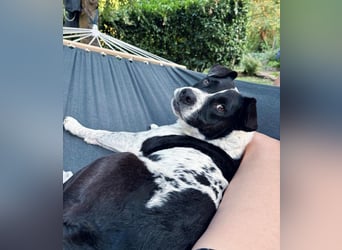 Szuki wartet auf eine zweite Chance