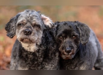 Amy&Terry - Mama&Sohn