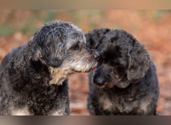 Amy&Terry - Mama&Sohn