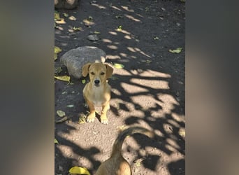 Fiete- bereit für sein neues Zuhause