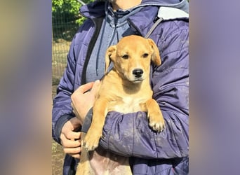 Fiete- bereit für sein neues Zuhause