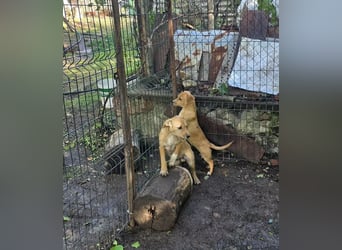 Fiete- bereit für sein neues Zuhause