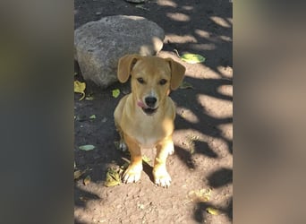 Fiete- bereit für sein neues Zuhause