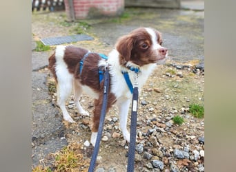 Tala - ist schüchtern