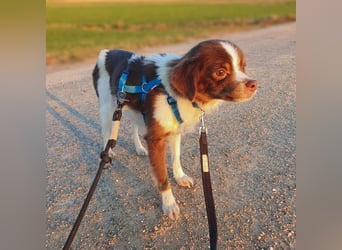 Tala - ist schüchtern