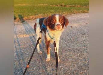 Tala - ist schüchtern