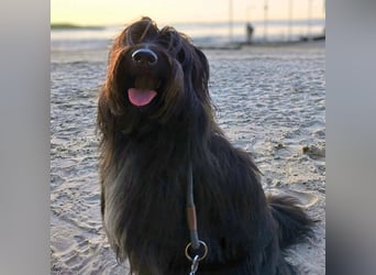 Ballou - ist kinderlieb