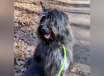 Ballou - ist kinderlieb