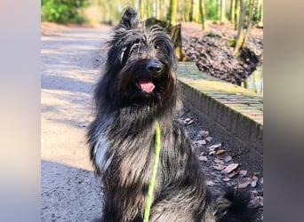 Ballou - ist kinderlieb