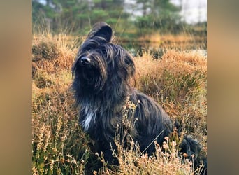 Ballou - ist kinderlieb