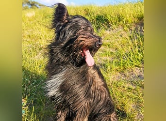 Ballou - ist kinderlieb