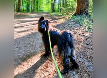 Ballou - ist kinderlieb