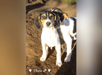 Update neue Bilder: Sechs Winzlinge  suchen ein Zuhause