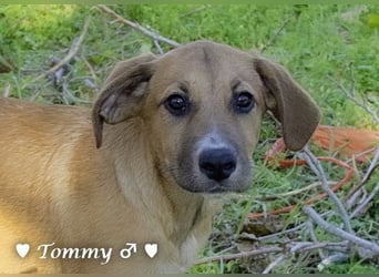 Zwei kleine Jungs   suchen ein Zuhause