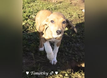 Update neue Bilder: Sechs Winzlinge  suchen ein Zuhause