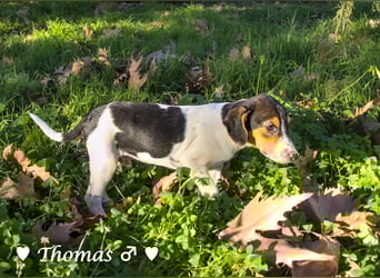 Update neue Bilder: Sechs Winzlinge  suchen ein Zuhause