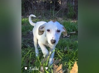 Update neue Bilder: Sechs Winzlinge  suchen ein Zuhause