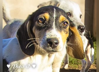 Update neue Bilder: Sechs Winzlinge  suchen ein Zuhause